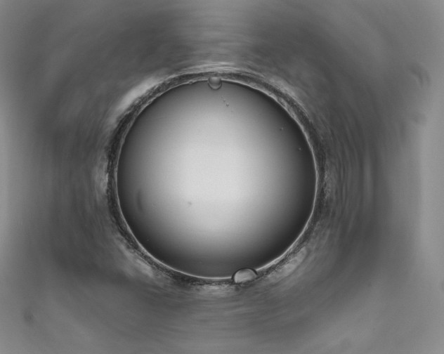 X0000111851406200907231419
