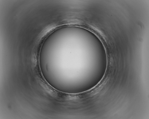 X0000111851407200907231419