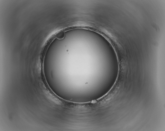 X0000111851408200907231419