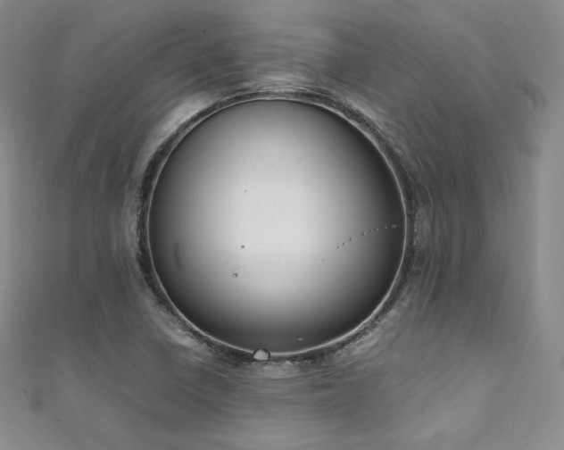 X0000111851410200907231419