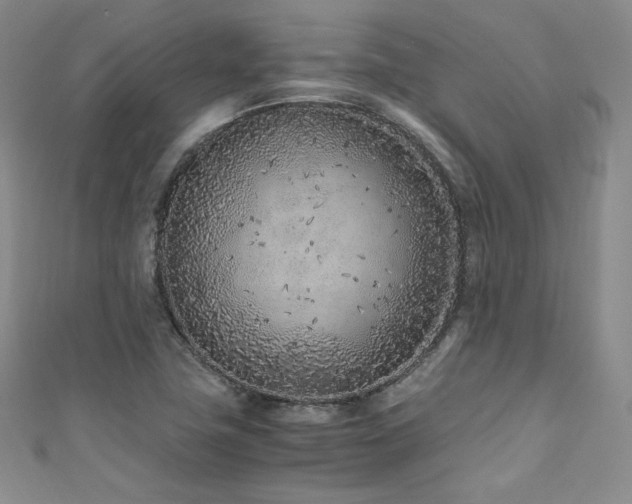X0000111851411200907231419