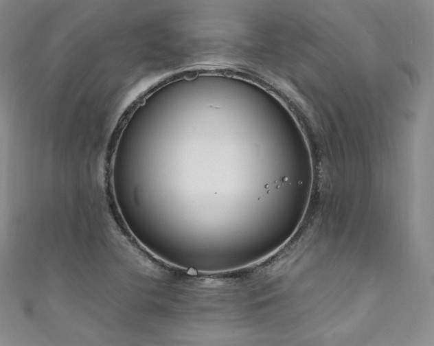 X0000111851412200907231419