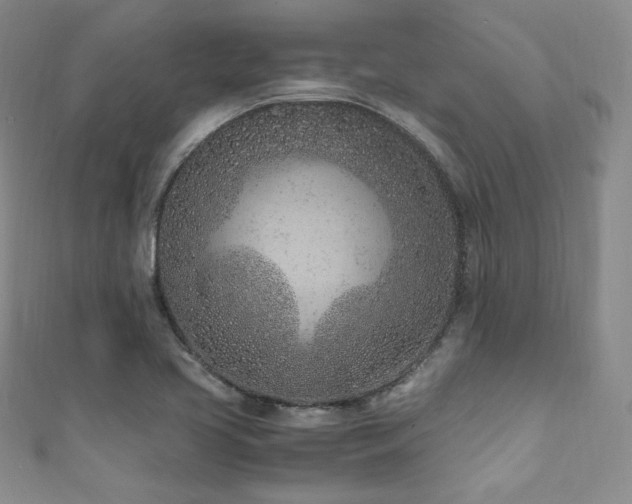 X0000111851413200907231419