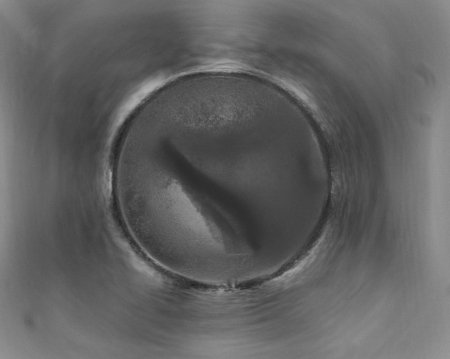 X0000111851414200907231419