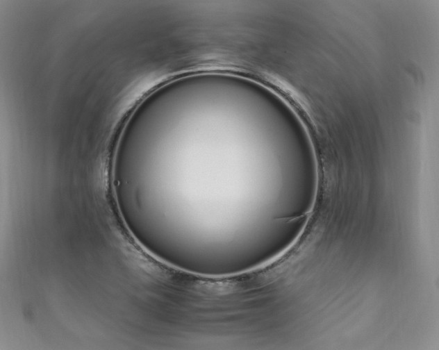X0000111851415200907231419