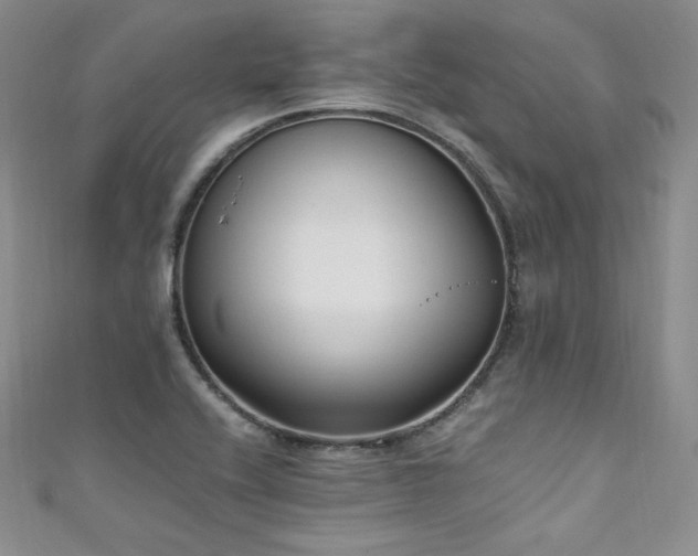 X0000111851416200907231419