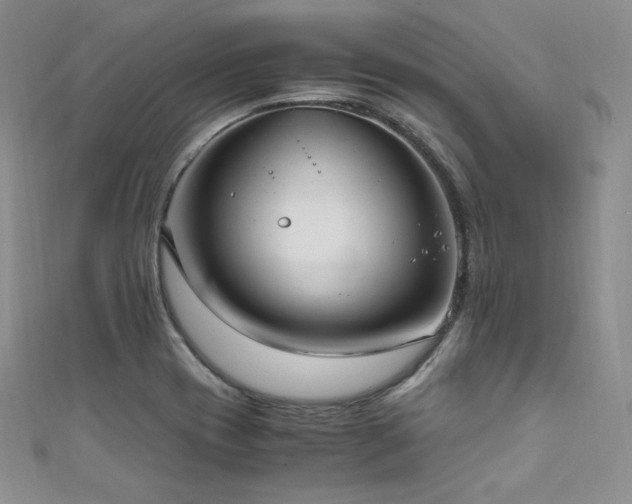 X0000111851417200907231419