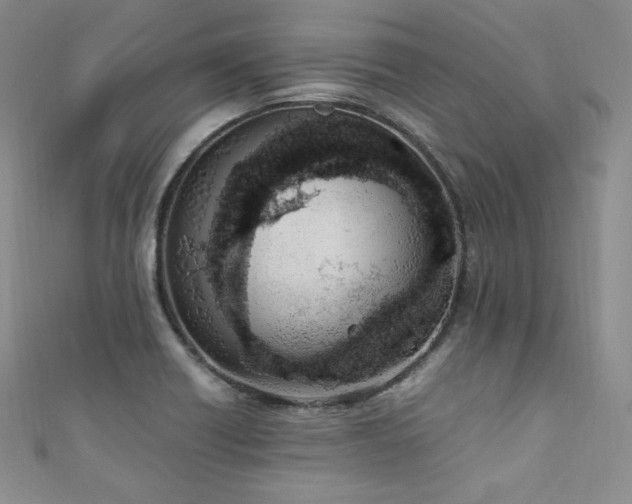 X0000111851418200907231419