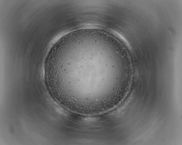 X0000111851419200907231419