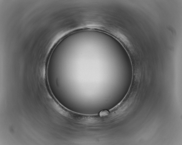 X0000111851420200907231419