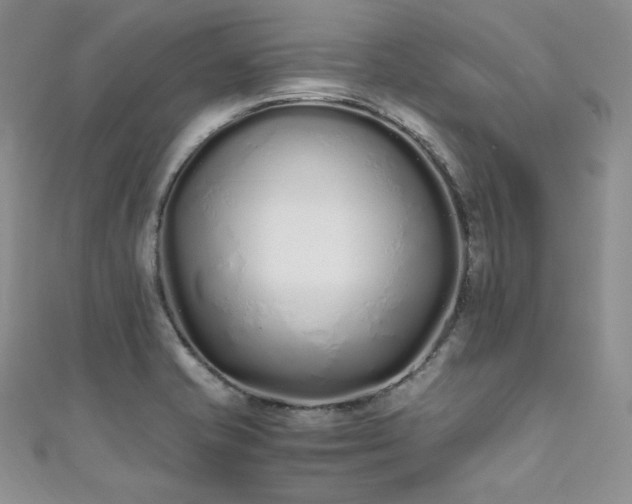 X0000111851421200907231419