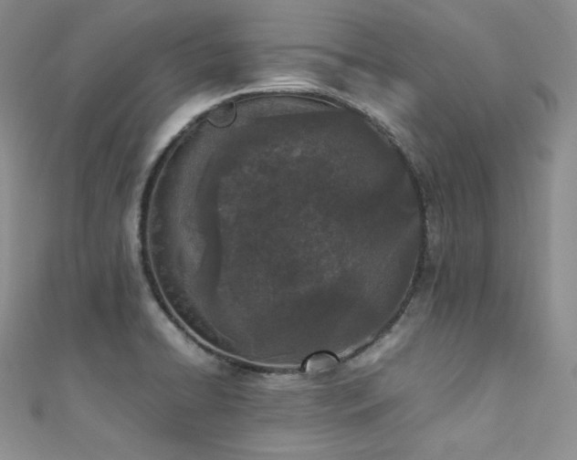 X0000111851422200907231419
