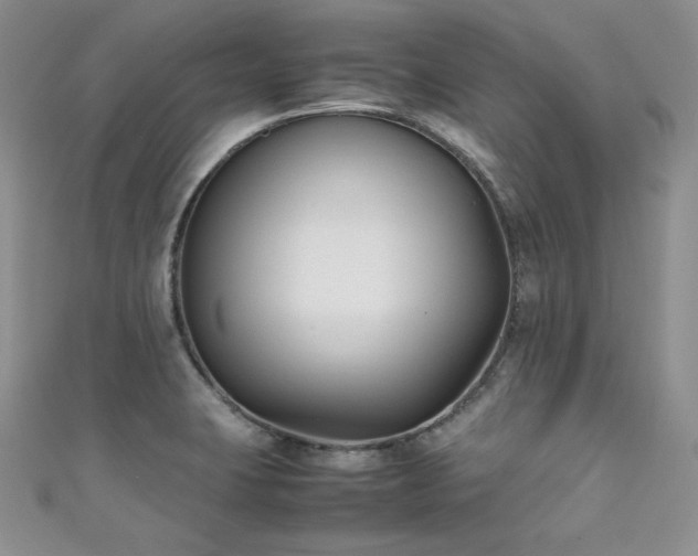 X0000111851423200907231419