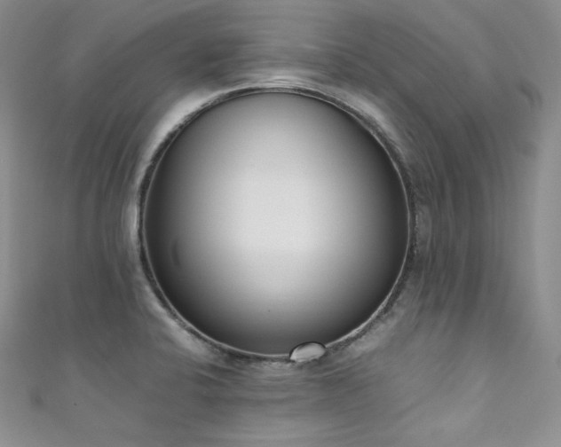 X0000111851424200907231419