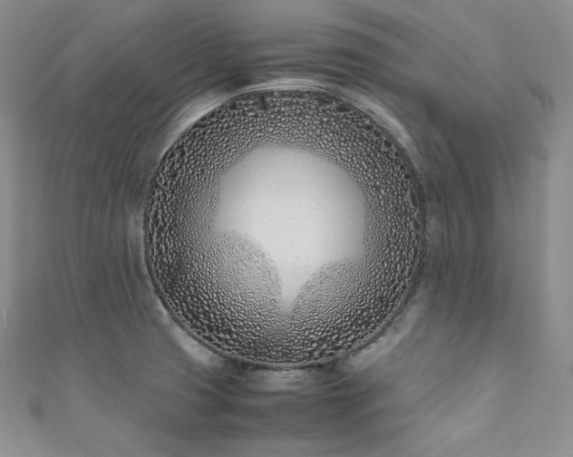 X0000111851425200907231419