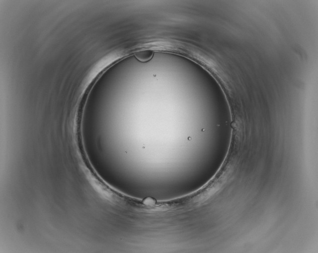 X0000111851426200907231419
