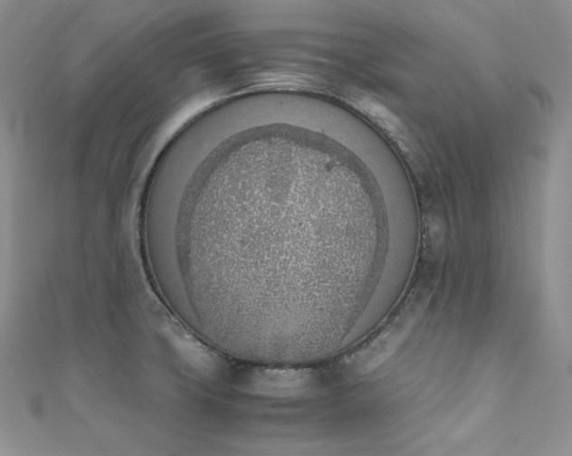 X0000111851427200907231419
