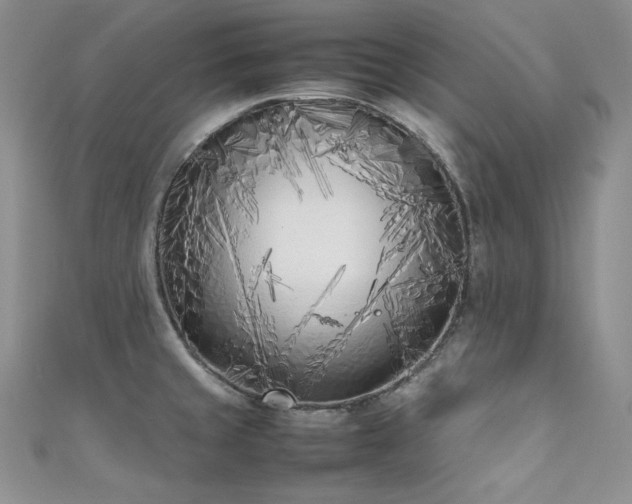 X0000111851429200907231419