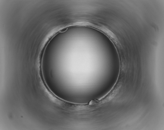X0000111851430200907231419