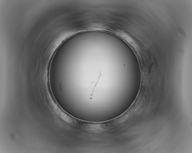 X0000111851431200907231419