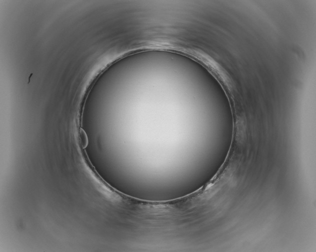 X0000111851432200907231419