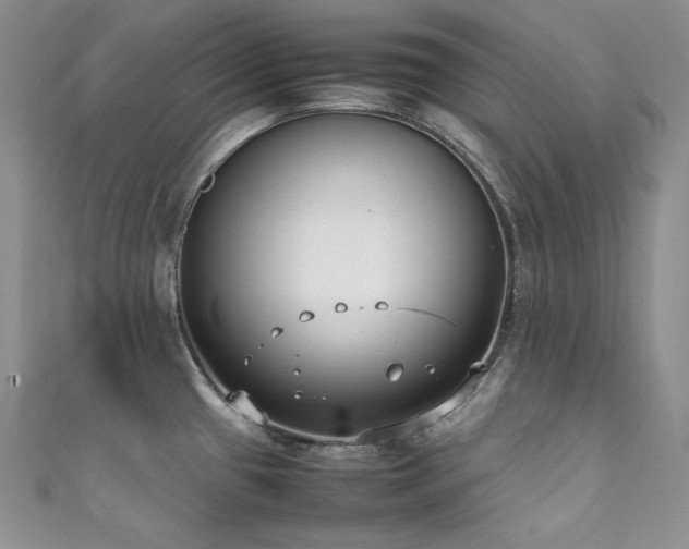 X0000111851433200907231419