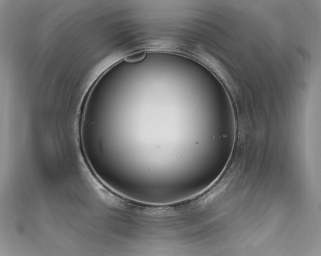 X0000111851434200907231419