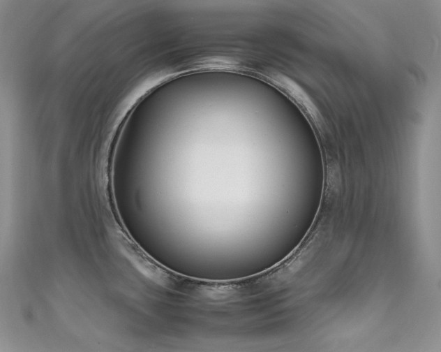 X0000111851435200907231419