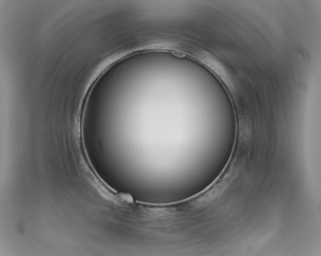 X0000111851436200907231419