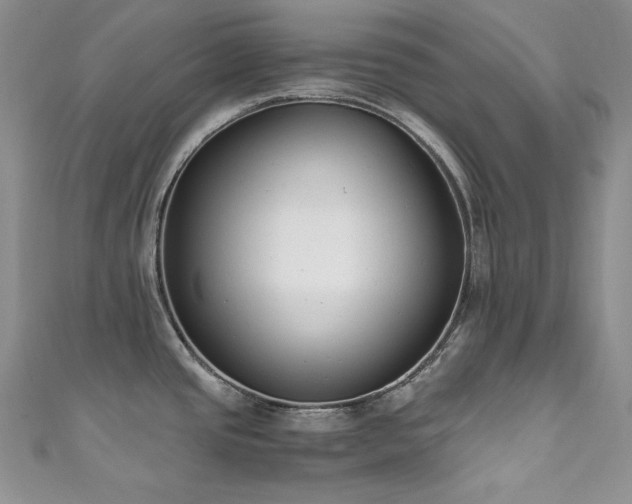 X0000111851437200907231419