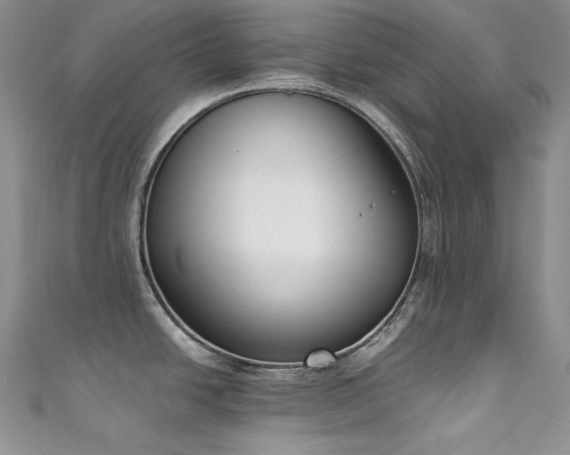 X0000111851438200907231419