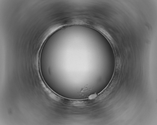X0000111851439200907231419