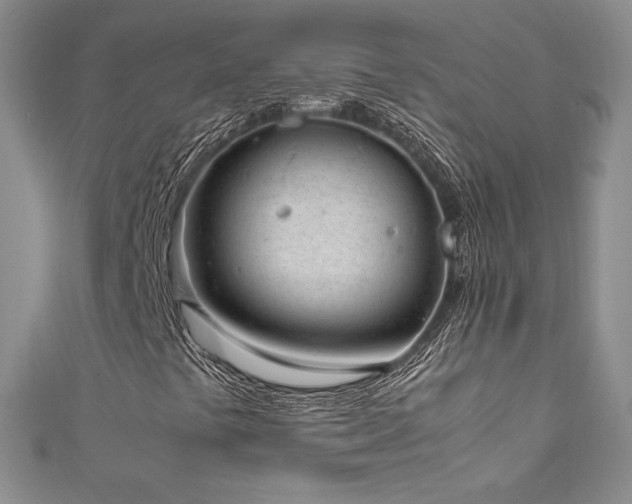 X0000111851441200907231419