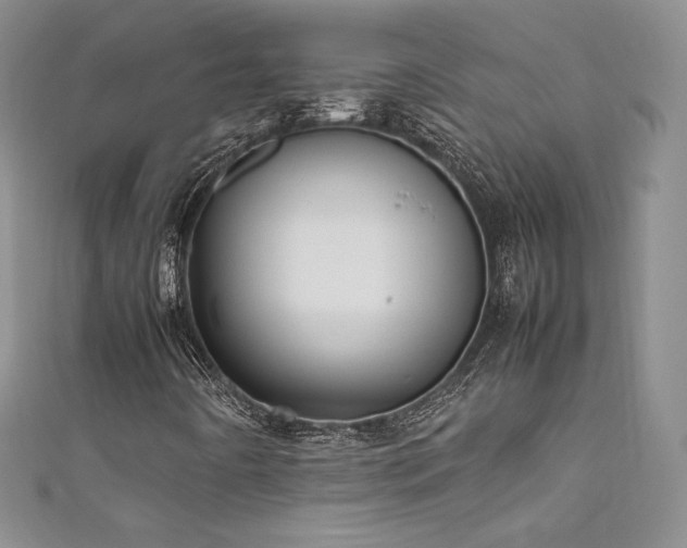 X0000111851442200907231419