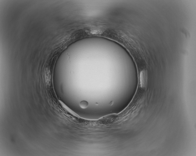 X0000111851443200907231419