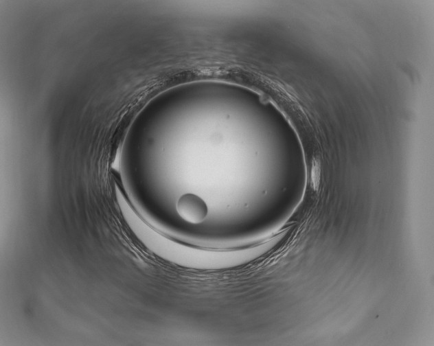 X0000111851444200907231419