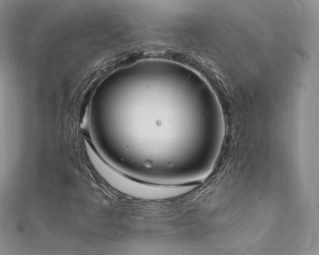 X0000111851445200907231419