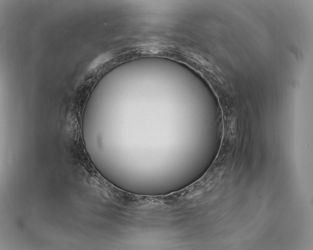 X0000111851446200907231419