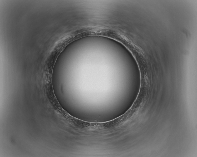 X0000111851447200907231419