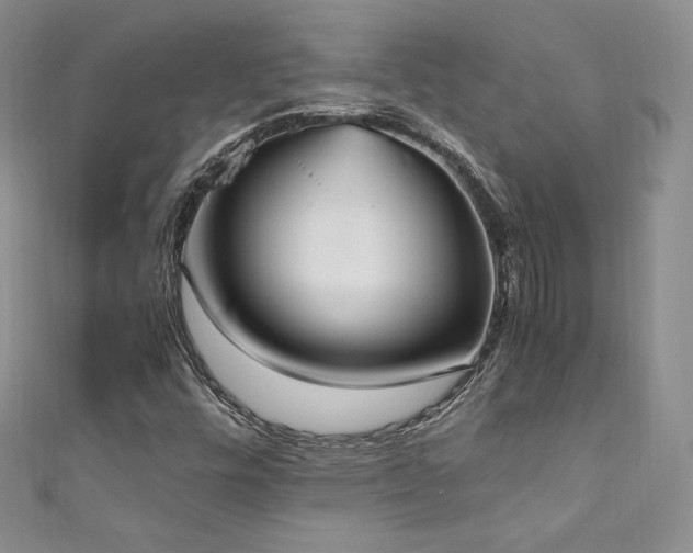 X0000111851448200907231419
