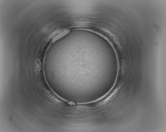 X0000111851449200907231419