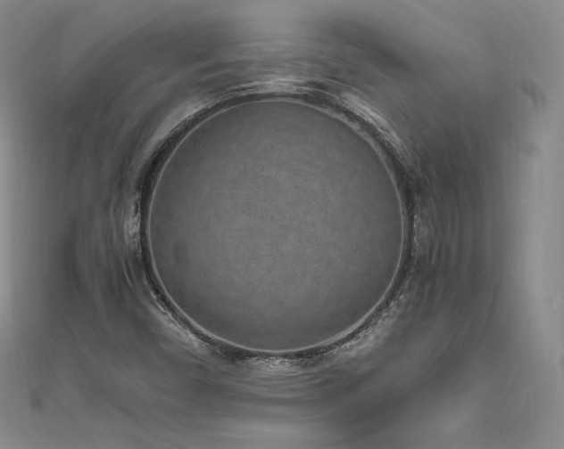 X0000111851450200907231419
