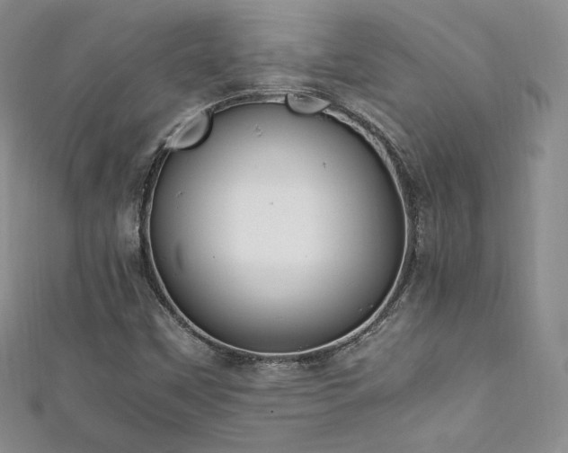 X0000111851451200907231418