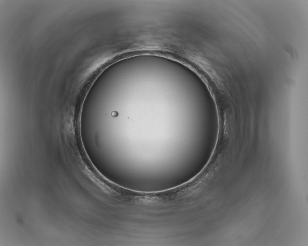 X0000111851452200907231418
