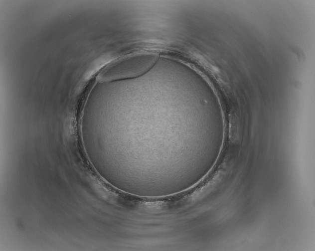 X0000111851453200907231418