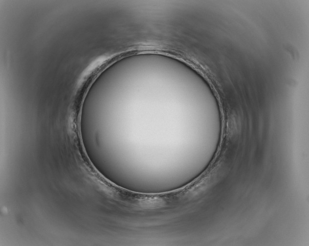 X0000111851454200907231418