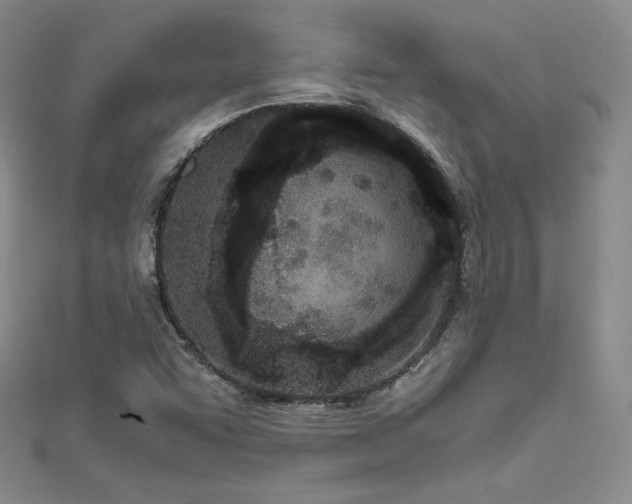 X0000111851455200907231418