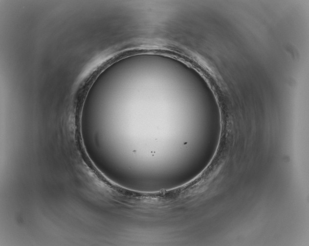 X0000111851456200907231418