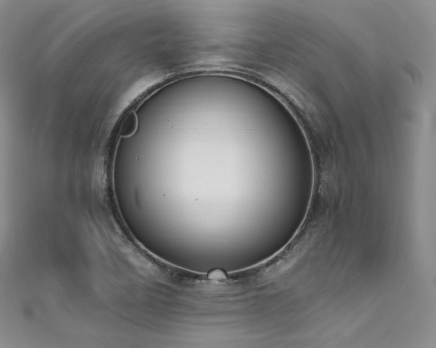 X0000111851458200907231418
