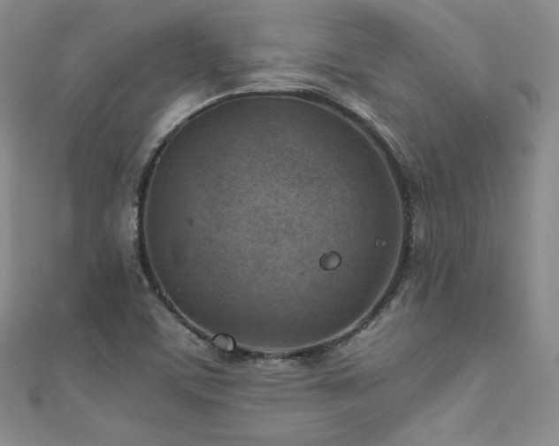 X0000111851459200907231418